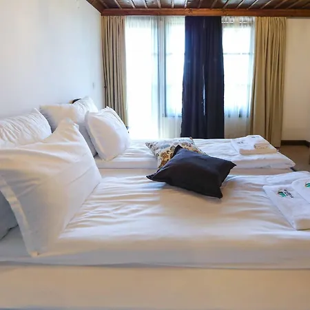 Szálloda Hotel Leshten